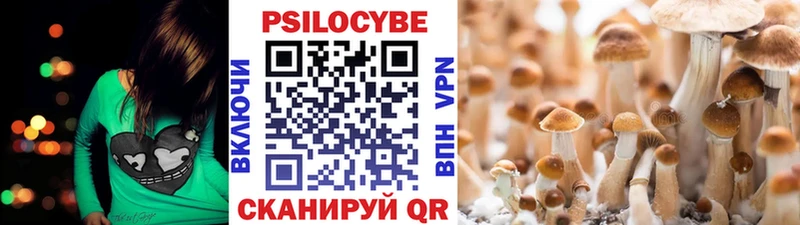 сколько стоит  Иркутск  даркнет клад  Псилоцибиновые грибы прущие грибы 