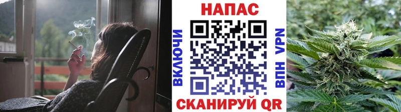 Конопля сатива  Иркутск 